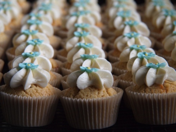Lines of cupcakes with icing and blue flower candies on top